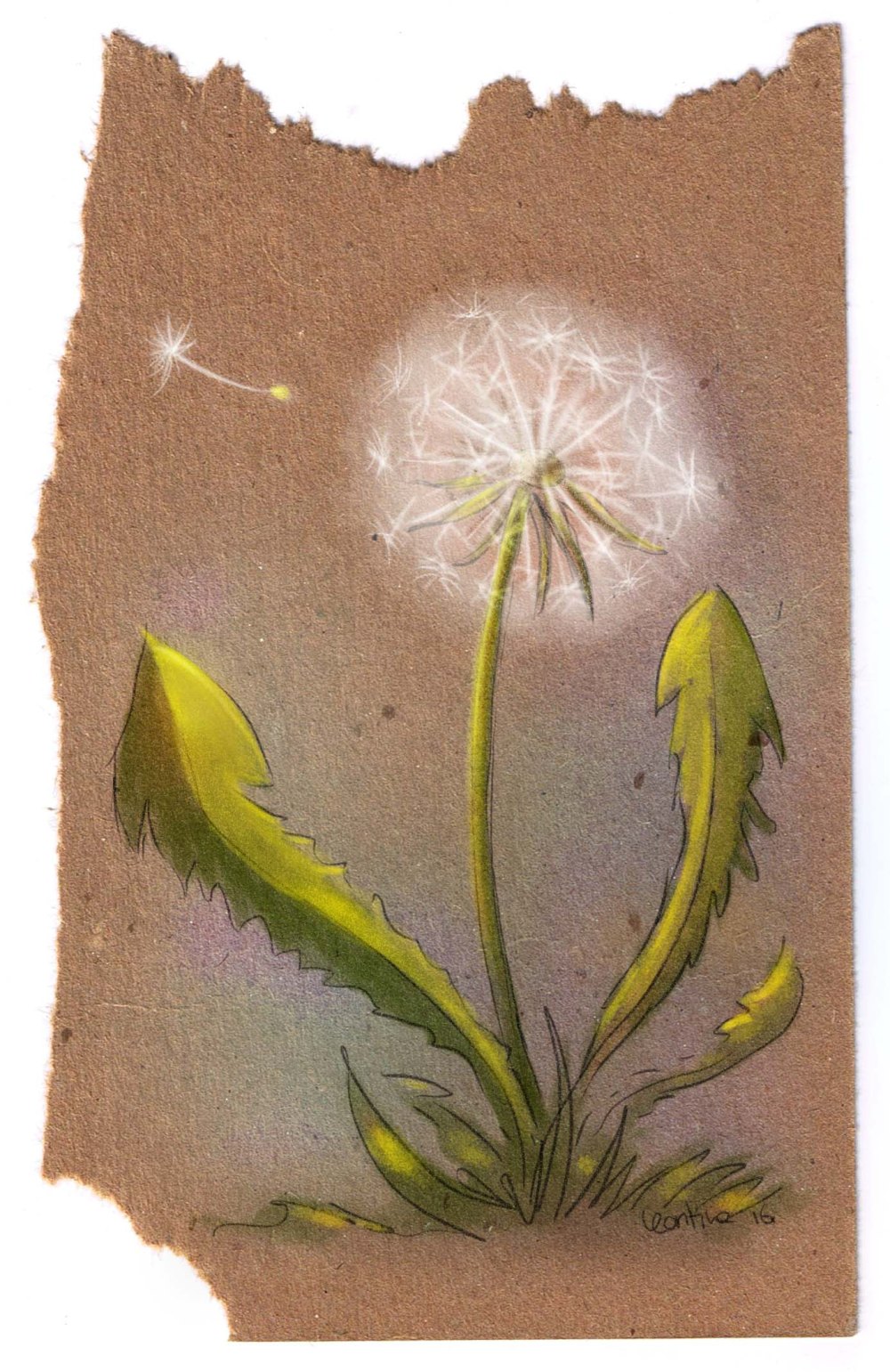 paardenbloem leontine