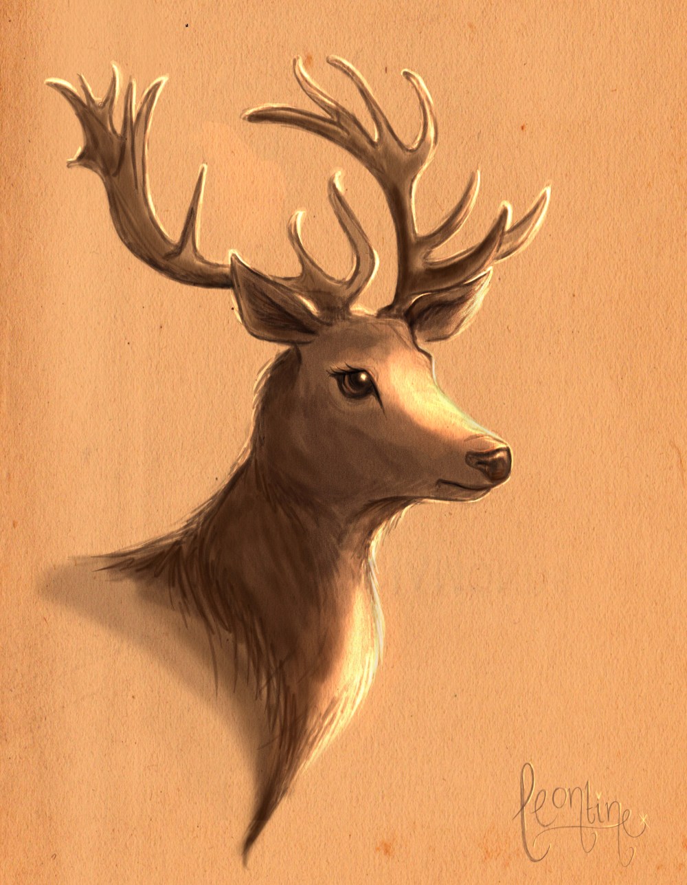 leontineillustrator-deer